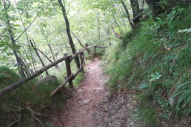 1 Day Trekking - Il Sentiero del Viandante: BELLANO. VARENNA - Should you book this Bellano to Varenna trek?