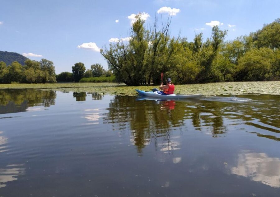 Adda River: Half day Kayak Trip - Key things to know before you go
