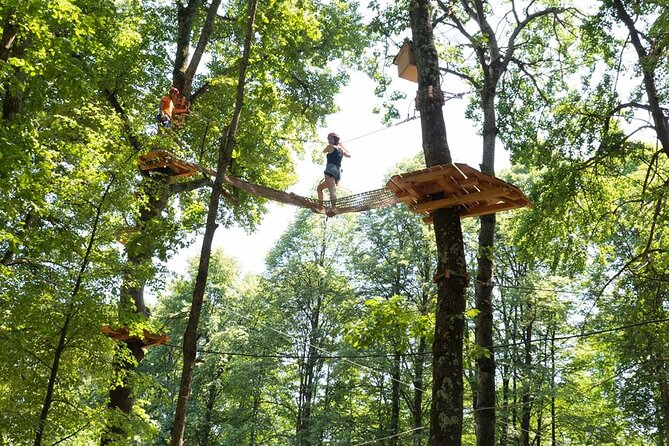Adult Daily ticket for Adventure Park in Gravedona - Bring gloves, beat heat under trees, and plan around the snack bar