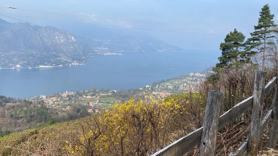 Bellagio: Exclusive picnic at the agrofarm with scenic view - Key things I’d plan around