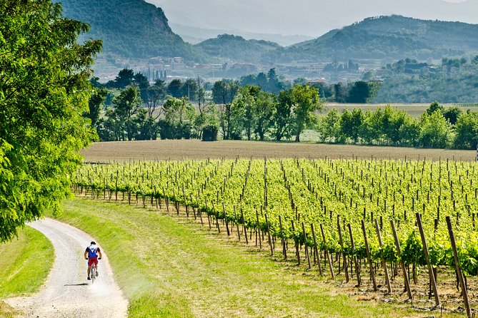 Bergamo and Franciacorta with lunch and cellar visit - Key highlights you should care about