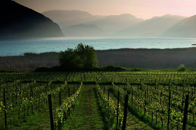 Bergamo and Franciacorta with lunch and cellar visit - Who this Bergamo and Franciacorta day trip suits best