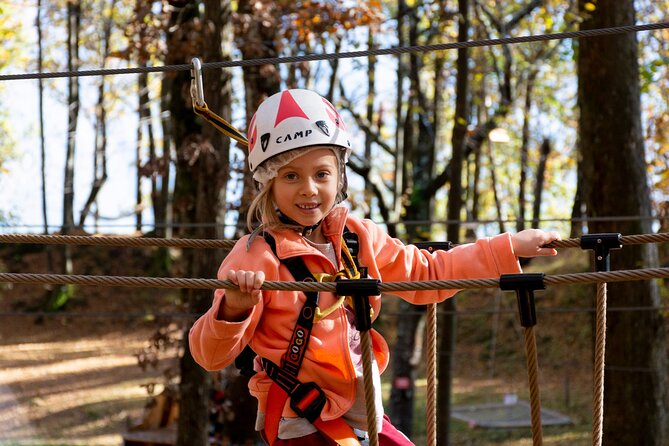 Children Daily Ticket for Adventure Park in Gravedona - Lake Como Adventure Park: what makes this outing work