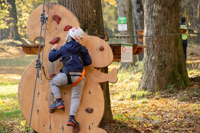 Children Daily Ticket for Adventure Park in Gravedona - Routes for tiny kids, big kids, and brave adults