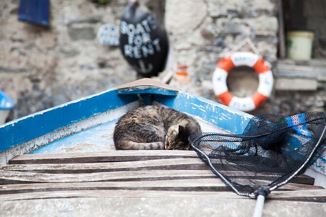 Cinque Terre Day Trip from Milan: Italian Riviera Escape - Vernazza: the lunch and photo hub
