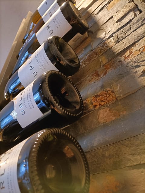 Como: Wine Tasting Experience with Cheese and Cold Cuts - Should you book this Como wine tasting?