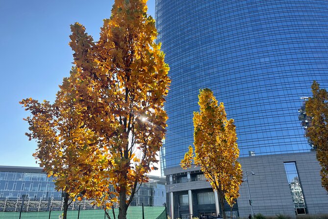 Discover the Milano by Food - Brera District: art streets, design energy, and a strong start