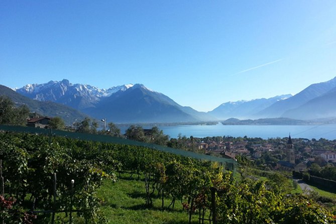 Domaso: Wine Tasting at the Winery on Como Lake - Entering The Hilltop Winery in Domaso (Meet-At-Base Convenience)