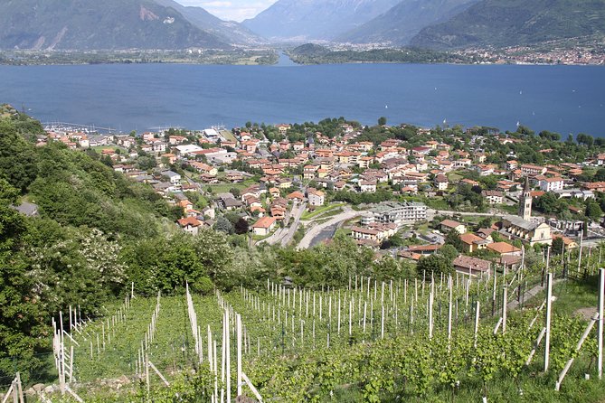 Domaso: Wine Tasting at the Winery on Como Lake - Getting There: Car, Bus From Como, or Boat to Domaso