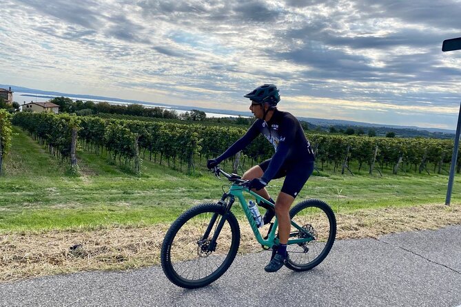 E-Bike tour and Wine tasting from Desenzano Inland - Key highlights worth planning around