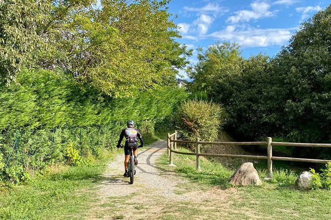 E-Bike tour and Wine tasting from Desenzano Inland - The e-bike ride between Desenzano and Sirmione: comfort first, not speed