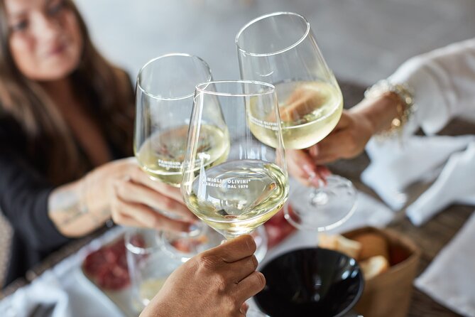 E-Bike tour and Wine tasting from Desenzano Inland - The main cycling block in Sirmione inland: vineyards, olive trees, panoramas, and a cellar visit