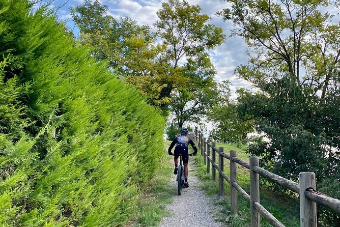 E-Bike tour and Wine tasting from Desenzano Inland - Stop 4 back at Famiglia Olivini: the second tasting and the family story