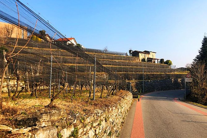 E-Bike Tour Lake Como and Swiss Vineyards - Back Toward Como: Villa Olmo, Baradello Castle, and What to Do Next