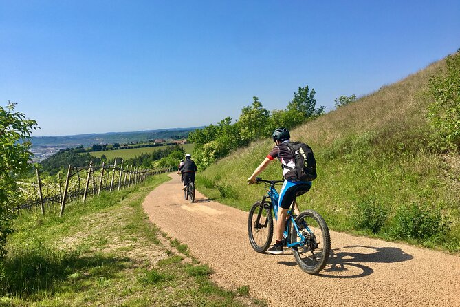 E-Bike Tour with Wine Tasting from Salò - Key highlights you should notice