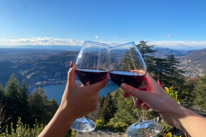 Exclusive wine tasting in Brunate - Key Highlights You Should Care About