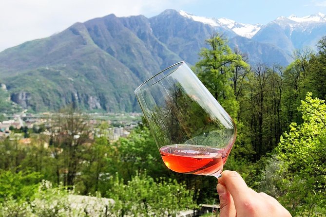 Family tasting - A little tasting - Key things to know before you go