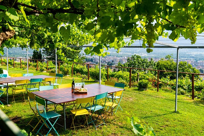 Family tasting - A little tasting - Meet Edoardo and Stella: Hospitality You Can Feel Fast