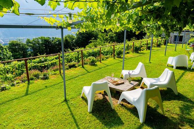 Family tasting - A little tasting - Views Over Domodossola and the Alps: Why This Stop Is More Than Wine