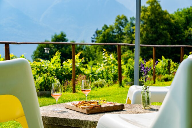 Family tasting - A little tasting - Weather Matters for This Vineyard Visit