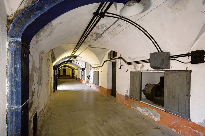 Forte Montecchio Nord Entrance Ticket - The Schneider guns: heavy caliber, and still moving