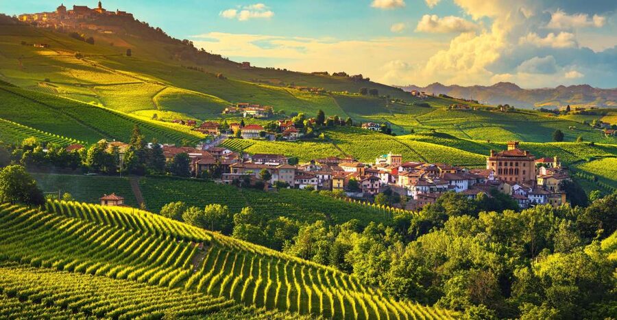 From Milan: Barolo Wine Tasting, Alba Tour and Castle Visit - Why Langhe and Alba work so well in one day