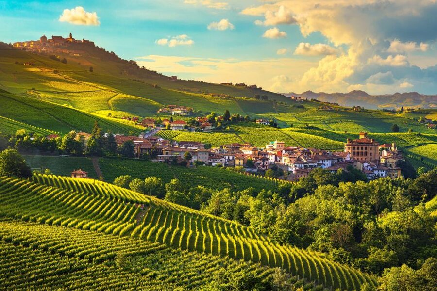 From Milan: Barolo Wine Tasting, Alba Tour and Castle Visit - The van ride that turns into real countryside time