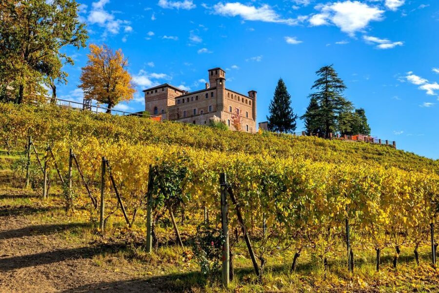 From Milan: Barolo Wine Tasting, Alba Tour and Castle Visit - The family-run winery tasting: Barolo plus Langhe reds