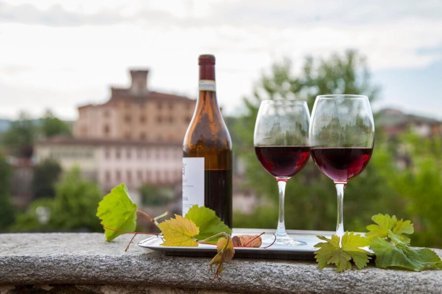 From Milan: Barolo Wine Tasting, Alba Tour and Castle Visit - The enoteca moment and Piedmont food reality