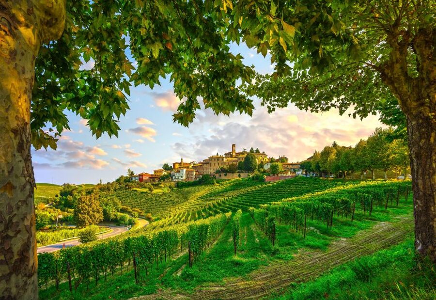 From Milan: Barolo Wine Tasting, Alba Tour and Castle Visit - Meeting in Milan: plan for a smooth morning start