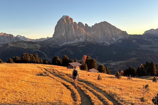 From Milan/Como/Varenna: Panoramic Hiking Tours near Lake Como - Private transportation and the simple comforts that help