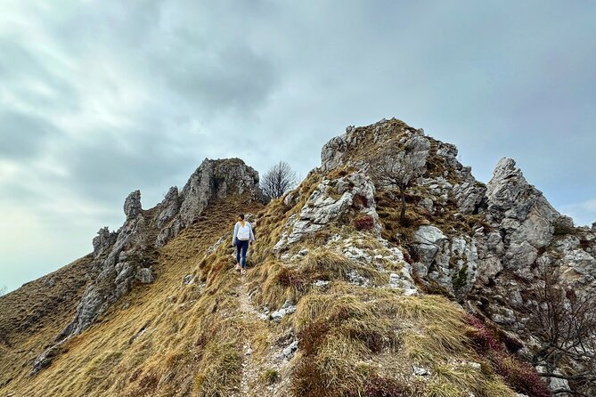 From Milan/Como/Varenna: Panoramic Hiking Tours near Lake Como - Price of $178.54: is it good value for Lake Como?
