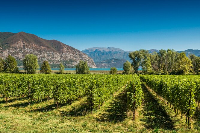 From Milan Full Day in Franciacorta 2 Wineries and Lunch - Key points to know before you go