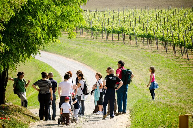 From Milan Full Day in Franciacorta 2 Wineries and Lunch - The 8-hour rhythm, what feels relaxed and what feels long