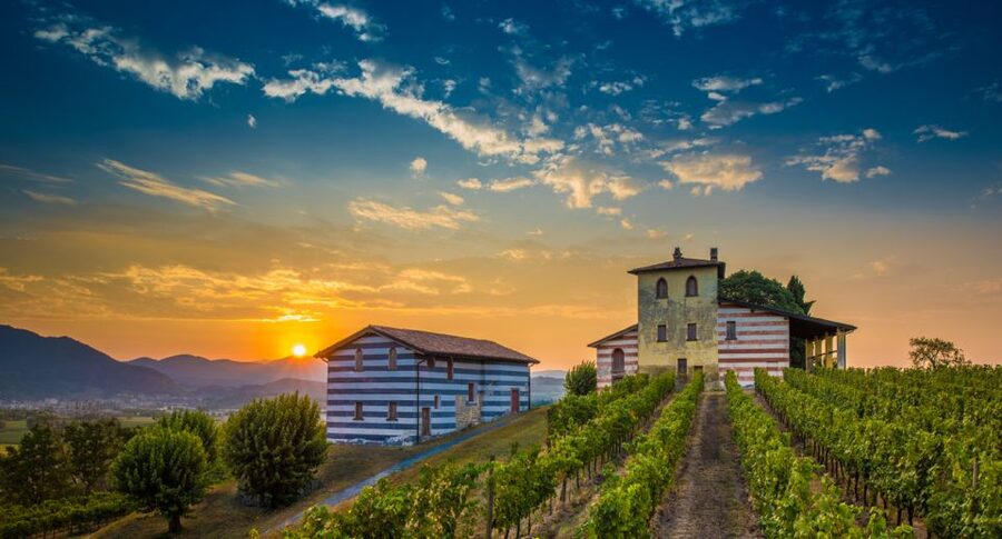 From Milan: Full Day in Franciacorta. 2 Wineries & Lunch - Key Things You Should Know