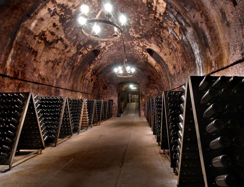 From Milan: Full Day in Franciacorta. 2 Wineries & Lunch - Comparing two winery styles without getting lost