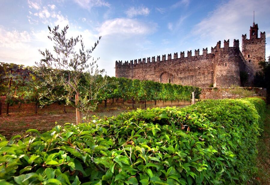 From Milan: Full Day in Franciacorta. 2 Wineries & Lunch - Price and value: is $373.84 per person a fair deal?