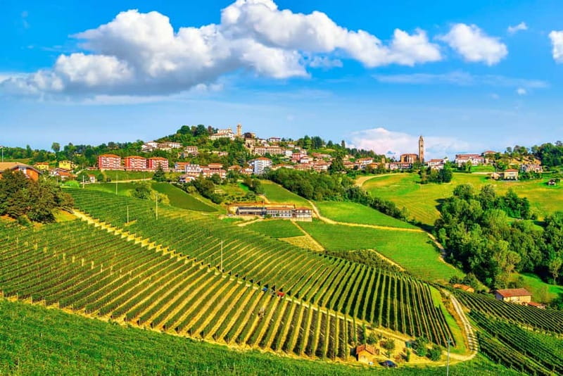 From Milan: Langhe Wine Region Day Trip with Barolo Tasting - Langhe UNESCO hills: what you are really paying for