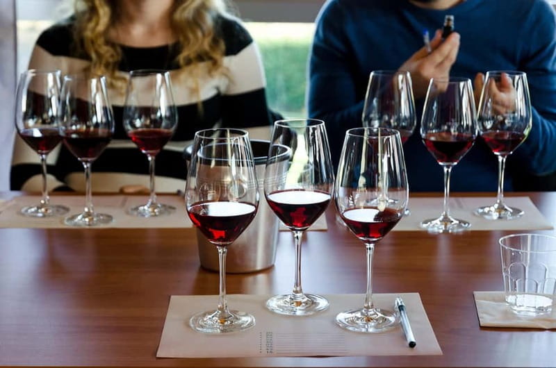 From Milan: Langhe Wine Region Day Trip with Barolo Tasting - Value for money: what you get beyond the tasting