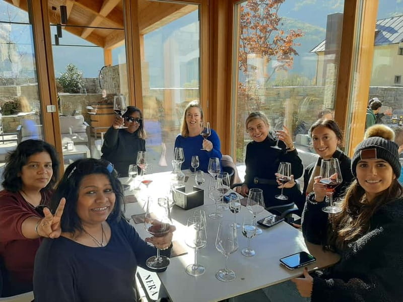 From Milan: Scenic Alps Day Trip with Bernina Train Ride - Who This Day Trip Suits Best (and Who Might Feel Rushed)