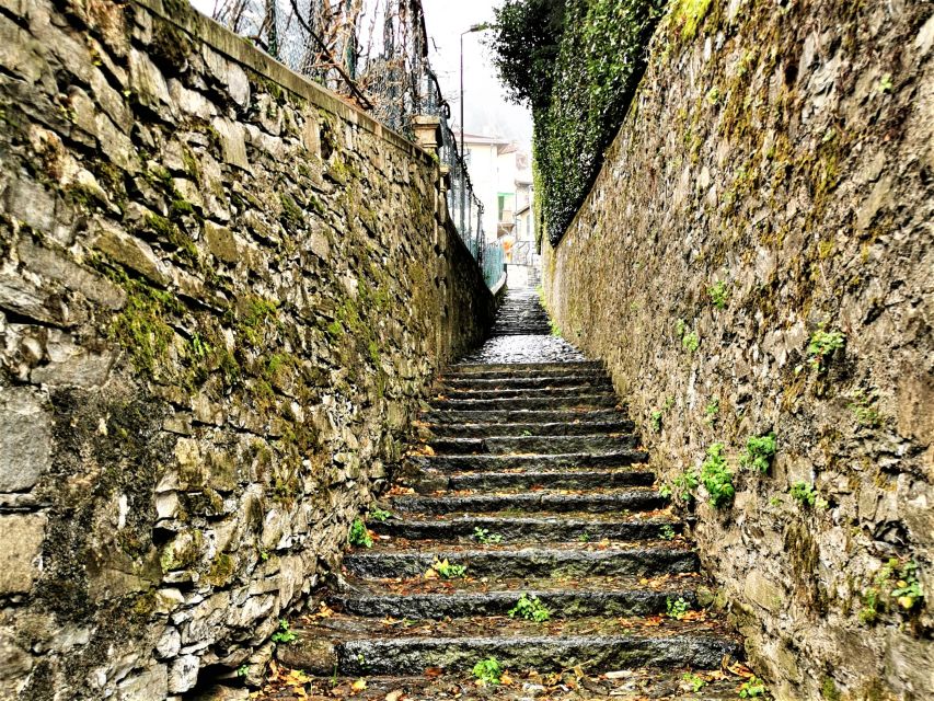 From Milan: Small Group Tour of Lake Como, Lugano & Pre Alps - Who should book this Lake Como and Lake Lugano day trip?