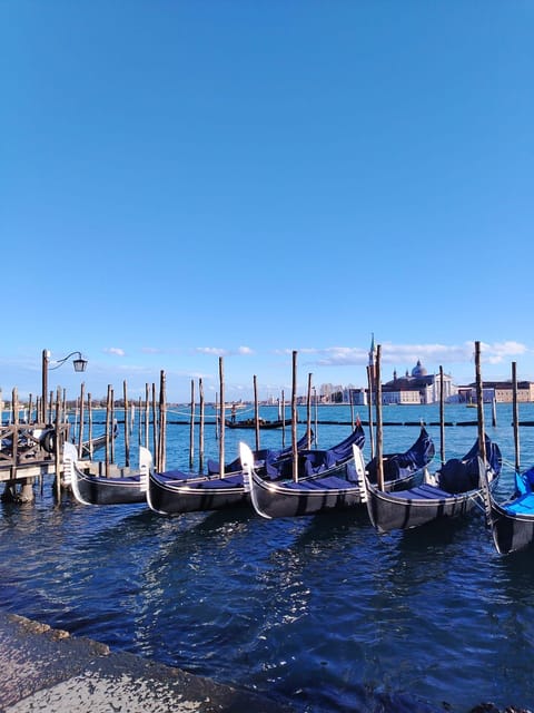 From Milan: Venice City Highlights Guided Day Trip - Key points to know before you go