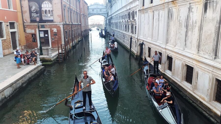 From Milan: Venice City Highlights Guided Day Trip - Entering Venice by boat: why this matters more than it sounds