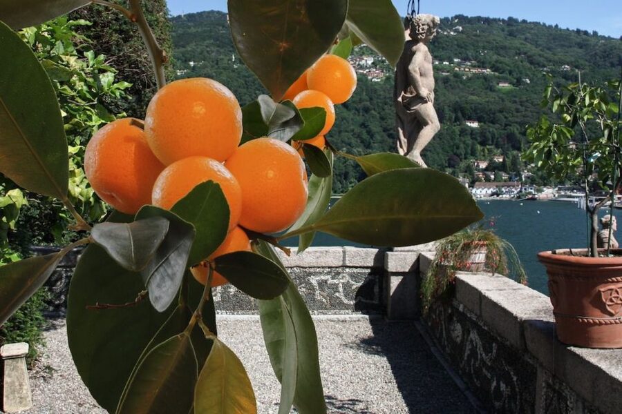 From Stresa: 2 Borromean Islands Hop-on Hop-off Boat Tour - Timing tips, booking slots, and how to not lose minutes at the dock