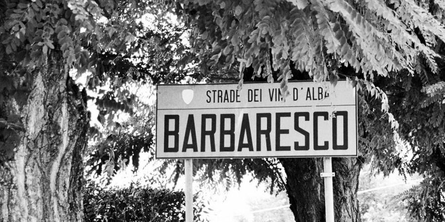 Full-Day Barbaresco Wine Tour with Truffle Hunting and Lunch - Key Highlights You’ll Actually Feel