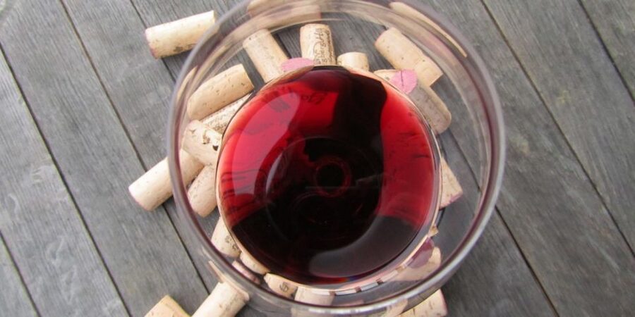 Full-Day Barbaresco Wine Tour with Truffle Hunting and Lunch - Private Truffle Hunting in the Langhe Woods (With Dogs)