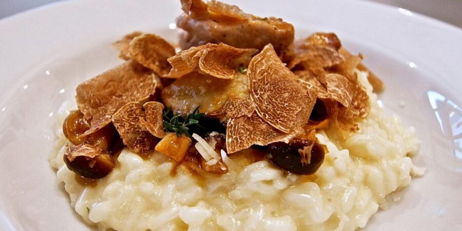 Full-Day Barbaresco Wine Tour with Truffle Hunting and Lunch - Price and Value: Is $968.88 Per Person Worth It?