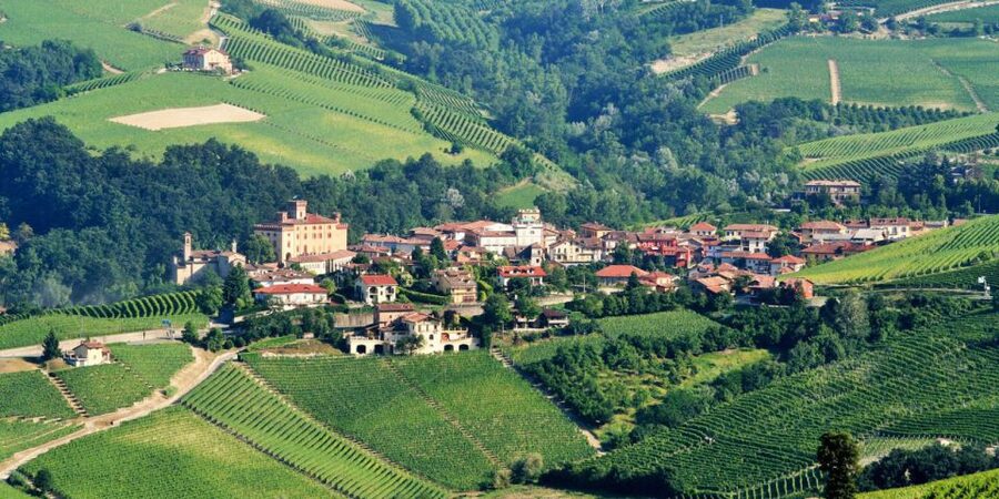 Full-Day Barbaresco Wine Tour with Truffle Hunting and Lunch - Who This Tour Suits Best, and Who Might Want Another Option