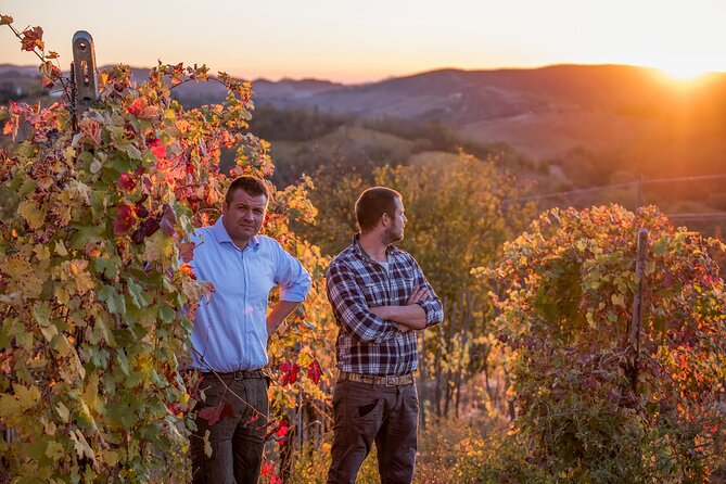 Guided tour of vineyards and winery with tasting 4 wines - Key Highlights You’ll Actually Feel