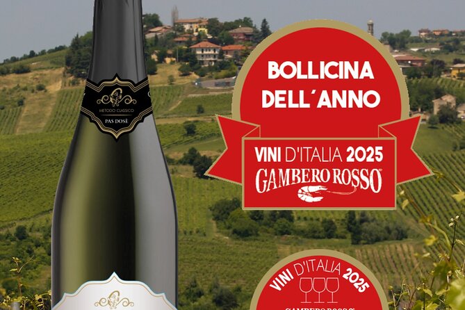Guided tour of vineyards and winery with tasting 4 wines - Cristian Takes You Through Organic Vines and Via di San Colombano